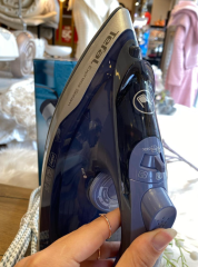 EXPRESS STEAM MAX FV2868