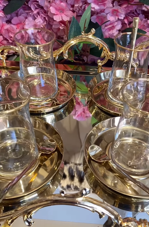 MESS 18 PARÇA ÇAY SET TİTANYUM